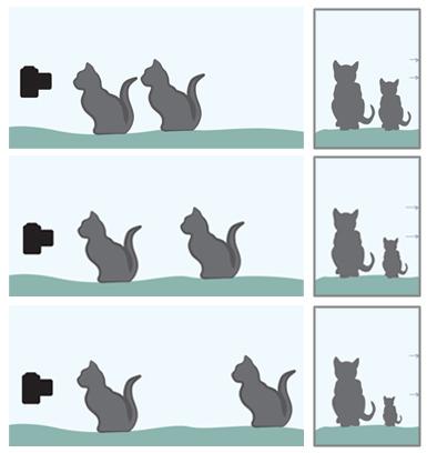 Distance from camera