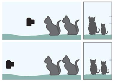 Distance from camera