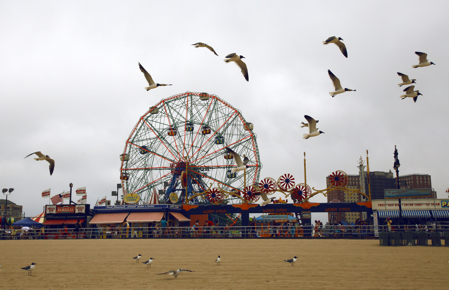 Luna park with seagulls flying in Coney Island